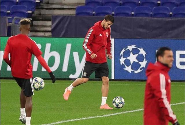 九游视频-里昂疲劳过度，主场输球结束连胜的简单介绍